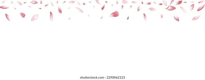 Pink Lotus Petal Vector Panoramic Background. Transparent Air Peach Petal Product. Rose Petal Japanese Congratulation. Delicate Flower Petal Card.