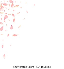 Pink Lotus Petal Vector White Background. White Air Flower Petal Poster. Sakura Petal Bright Card. Fly Cherry Petal Product.