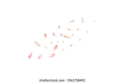 Pink Lotus Petal Vector White Background. Transparent Soft Flower Petal Poster. Peach Petal Blossom Product. Summer Cherry Petal Illustration.
