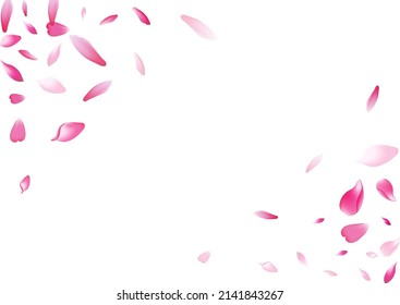 Pink Lotus Petal Vector White Background. Pastel Floor Flower Petal Texture. Cherry Petal Aroma Banner. Dream Apple Petal Product.