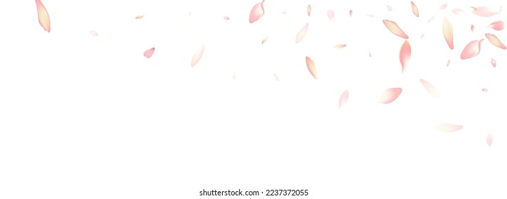 Pink Lotus Petal Vector White Background. Color Blossom Apple Petal Card. Peach Petal Floor Texture. Japanese Flower Petal Template.