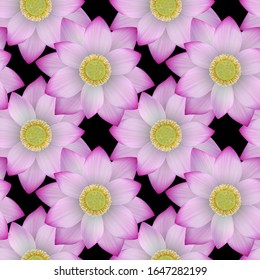 Pink lotus seamless pattern. Vector realistic floral repeat background