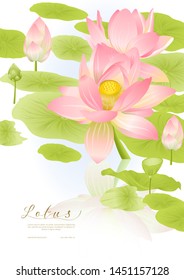 Pink Lotus. Template for wedding invitation, greeting card, banner, gift voucher, label. Vector illustration.	