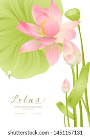 Pink Lotus. Template for wedding invitation, greeting card, banner, gift voucher, label. Vector illustration.	