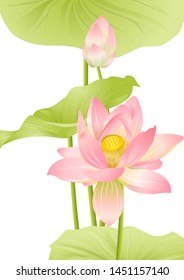 Pink Lotus. Template for wedding invitation, greeting card, banner, gift voucher, label. Vector illustration.	