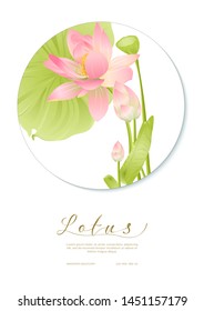 Pink Lotus. Template for wedding invitation, greeting card, banner, gift voucher, label. Vector illustration.	