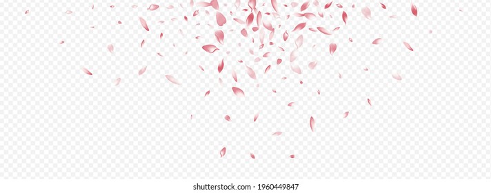 Pink Lotus Vector Panoramic Transparent Background. Apple Garden Illustration. Leaf Invitation Banner. Petal Nature Cover. White Floral Rain Template.