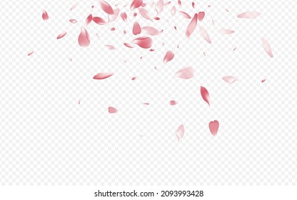 Pink Lotus Vector Transparent Background. Rosa Aroma Congratulation. Petal Down Backdrop. Heart Air Card. Light Blossom Springtime Illustration.