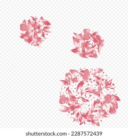 Pink Lotus Vector Transparent Background. Leaf Down Card. Tree Spa Texture. Blossom Soft Illustration. Color Floral SummerDrop Backdrop.