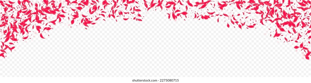 Fondo Panorámico Transparente Del Vector De Lotus Rosa. Fondo de escritorio de la Rosa de Japón. Hermoso patrón de belleza de Petal. Cubierta Sakura Voladora Roja.