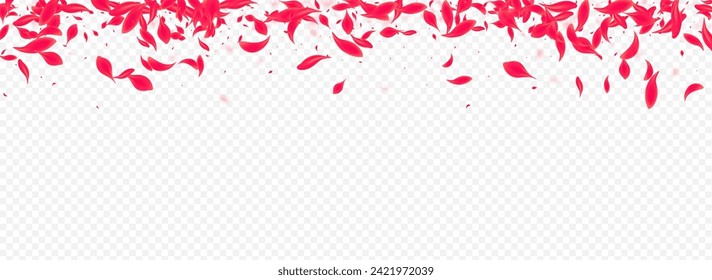 Pink Lotus Vector Transparent Panoramic Background. Falling Peach Frame. Beautiful Cherry Flying Wallpaper. Delicate Fall Blossom Pattern.
