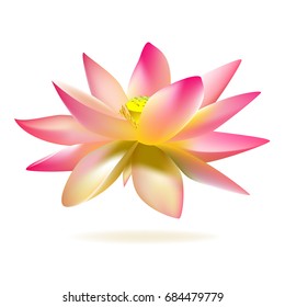 Pink lotus. Water lily. Floral background. Buddhism. SPA-center. Eastern philosophy. Symbol.