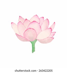 Pink lotus. Watercolor flower on the white background, aquarelle. Vector illustration. Hand-drawn decorative element. Real watercolor painting