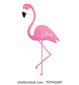 Pink lovely Flamingo vector exotic tropical bird with white background