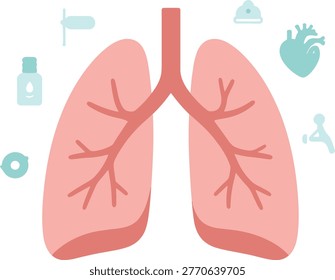 Pink lungs with trachea and bronchial tubes