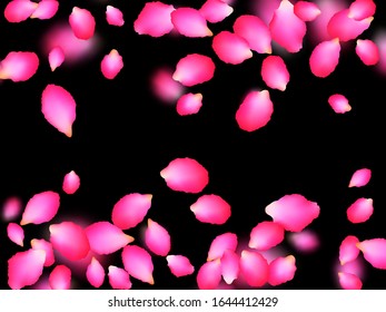 Pink magnificent petals blowing by wind over black background. Apricot spring tree blossom parts confetti. Flower petals vector illustration for wedding decoration. Seasonal wallpaper.