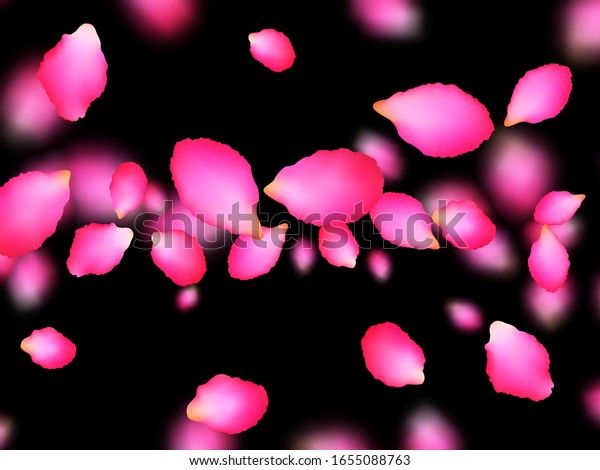 Descubra Espectaculares Petalos Rosas Soplados Por El Imagenes De Stock En Hd Y Millones De Otras Fotos Ilustraciones Y Vectores En Stock Libres De Regalias En La Coleccion De Shutterstock Se Agregan Miles De Imagenes Nuevas De Alta Calidad Todos Los