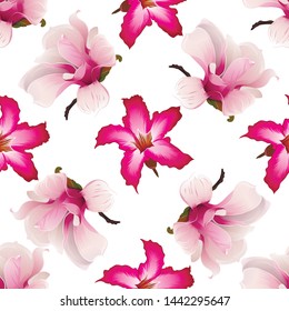 Pink Magnolia. Pink Adenium. Vector illustration. 