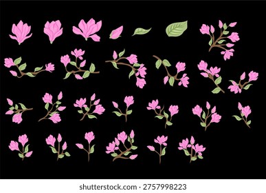 Pink Magnolia Floral Vector Elements Set
