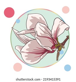 pink magnolia flower, isolated in a turquoise circle on a white background with colorful dots. green leaves, open buds, closed buds, pink flowers. vector illustration. abstraction