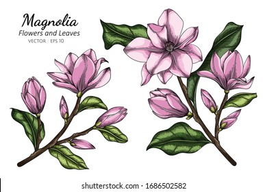 Pink Flowers Drawing Hd Stock Images Shutterstock