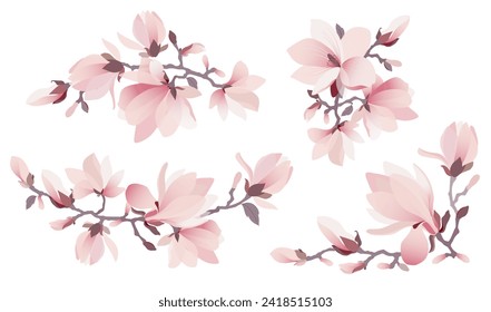 Pink magnolia flowers set. Collection of magnolia tree blossom branches. Vector