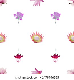 Pink Magnolia. Purple Hatiora. Pink Protea. Purple Lotus. Red Fuchsia. Vector illustration. Seamless background pattern. Floral botanical flower. Wild leaf wildflower isolated. Exotic tropical.