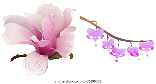 Pink Magnolia. Purple Komakusa. Vector illustration. Isolated illustration element. Floral botanical flower. Wild leaf wildflower isolated. Exotic tropical hawaiian jungle.