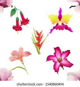 Pink Magnolia. Red Angel Trumpet. Pink Orchid. Pink Amaryllis. Pink Adenium. Red Heliconia Bihai. Vector illustration. Seamless background pattern. Floral botanical flower. Wild leaf wildflower.