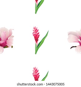 Pink Magnolia. Red and Pink Ginger. Vector illustration. 