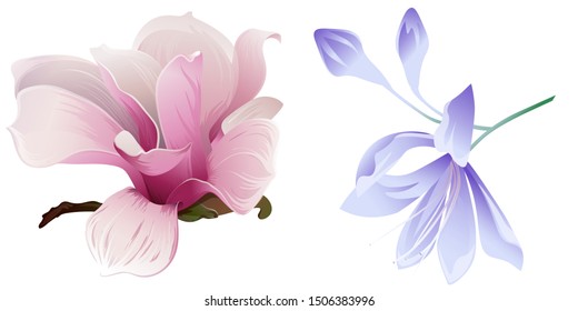 Pink Magnolia. Violet Agapanthus Lily. Vector illustration. Isolated illustration element. Floral botanical flower. Wild leaf wildflower isolated. Exotic tropical hawaiian jungle.