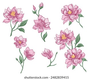 Conjunto de flores de acuarela de magnolia rosa