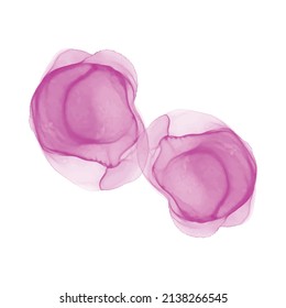 Brillo de labios de maquillaje rosa aislado en fondo blanco. Textura de lápiz labial rosa aislada en fondo blanco