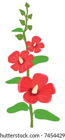 Pink mallow. Vector