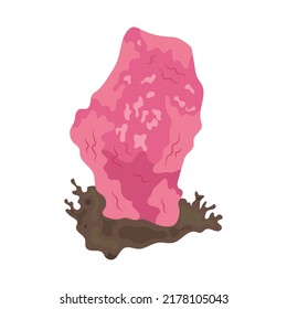 pink marine coral on white background