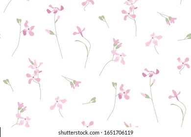 Pink matthiola. Delicate garden flowers. Summer bouquet. Botanical illustration Floral pattern. Floristry