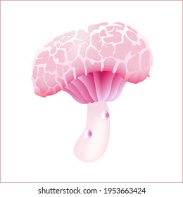 Pink moist mushroom vector illustration