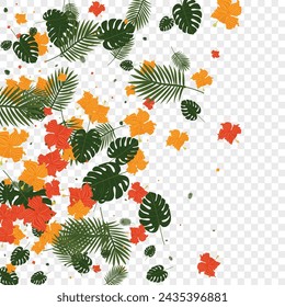 Pink Monstera Background Transparent Vector. Flower Popular Texture. Red Strelitzia. Beach Backdrop. Green Culture Frame.