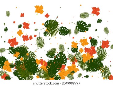 Pink Monstera Background White Vector. Leaf Abstract Frame. Orange Tree. Trendy Illustration. Red Garden Design.