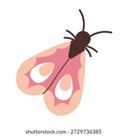 Traça rosa com asas dobradas. Borboleta de verão. Ilustração de inseto primavera. Bonitas traças tropicais de verão desenhadas à mão. Estilo plano.