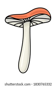 HABITACIÓN DE MUSHORA ROSA EN UN FONDO BLANCO EN EL VECTOR
