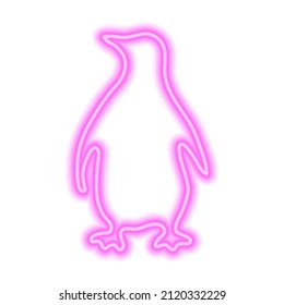 Pink neon sign of penguin isolated on white background. Vector illustration