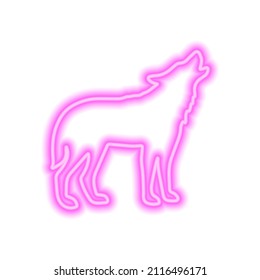 Pink neon sign of wolf isolated on white. Vector illustration