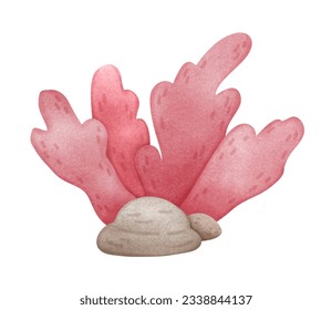 Pink ocean coral 
