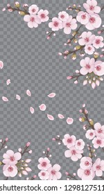 Pink on transparent background. Design element for textiles, wallpaper, packaging, printing, story. Handmade background in the Japanese style. Spring frame vertical of sakura flowers.