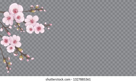 Pink on transparent background. Flying sakura flowers. Handmade background in oriental style. Design element for fabric, invitations, packaging, cards.