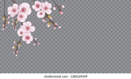 Pink on transparent background. Handmade background in oriental style. Theme design textiles, wallpaper, packaging, printing. Festive frame of sakura flowers.