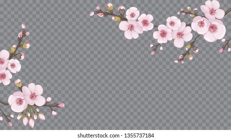 Pink on transparent background. Handmade background in Chinese style. Festive frame horizontal of sakura flowers. Design element for textiles, wallpaper, packaging, printing.