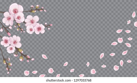 Pink on transparent fond. Flying sakura flowers. Theme design fabric, invitations, packaging, cards. Handmade background in Chinese style.