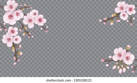 Pink on transparent fond. Handmade background in oriental style. Flying sakura flowers. Design element for fabric, invitations, packaging, cards.